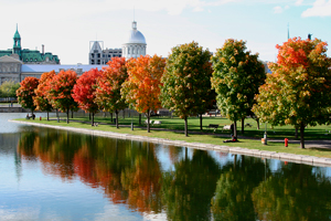 Photos of Montreal